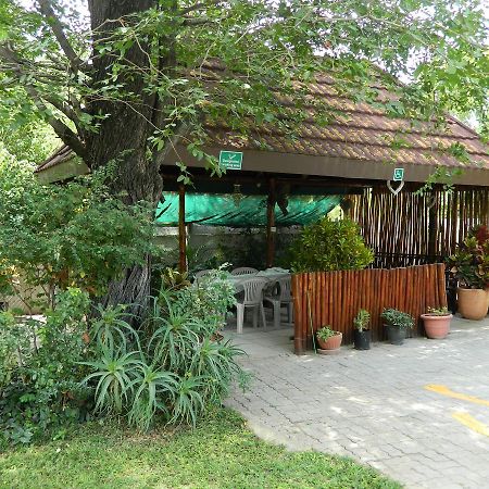 Thamalakane Guest House Maun Ngoại thất bức ảnh